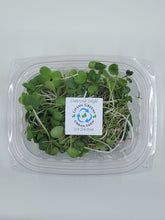 Load image into Gallery viewer, Microgreens Blend - Countryside Delight
