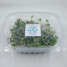 Load image into Gallery viewer, Broccoli Microgreens