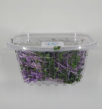 Load image into Gallery viewer, Kohlrabi Microgreens