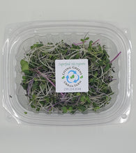 Load image into Gallery viewer, Microgreens Blend - Superfood