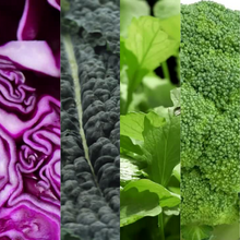 Load image into Gallery viewer, GYO: Microgreens Subscription