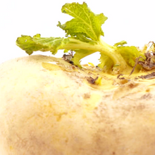 Load image into Gallery viewer, GYO: Microgreens Subscription