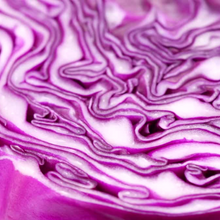 Load image into Gallery viewer, GYO: Microgreens Subscription