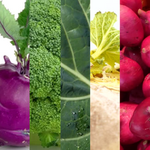 Load image into Gallery viewer, GYO: Microgreens Subscription