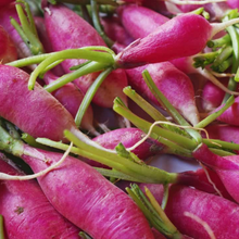 Load image into Gallery viewer, GYO: Microgreens Subscription