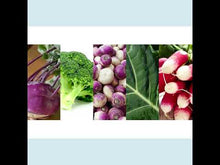 Load and play video in Gallery viewer, Microgreens Blend - Superfood