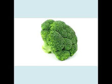 Load and play video in Gallery viewer, Broccoli Microgreens
