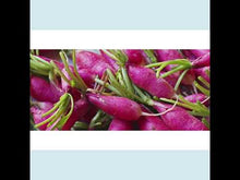 Load and play video in Gallery viewer, China Rose Radish Microgreens
