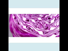 Load and play video in Gallery viewer, Red Cabbage Microgreens