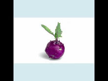 Load and play video in Gallery viewer, Kohlrabi Microgreens