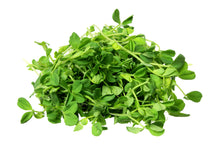 Load image into Gallery viewer, Pea Shoots Microgreens
