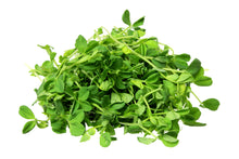 Load image into Gallery viewer, Pea Shoots Microgreens