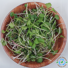 Load image into Gallery viewer, Microgreens Blend - Countryside Delight
