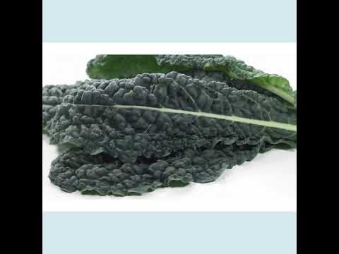 Kale Microgreens