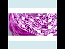 Load and play video in Gallery viewer, Red Cabbage Microgreens
